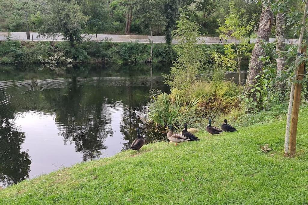 Nature E Spa Al - Termas Saude E Beleza, Totalmente Renovado - Piscinas Municipais Em Frente - Epoca Julho A Setembro São Pedro do Sul Esterno foto