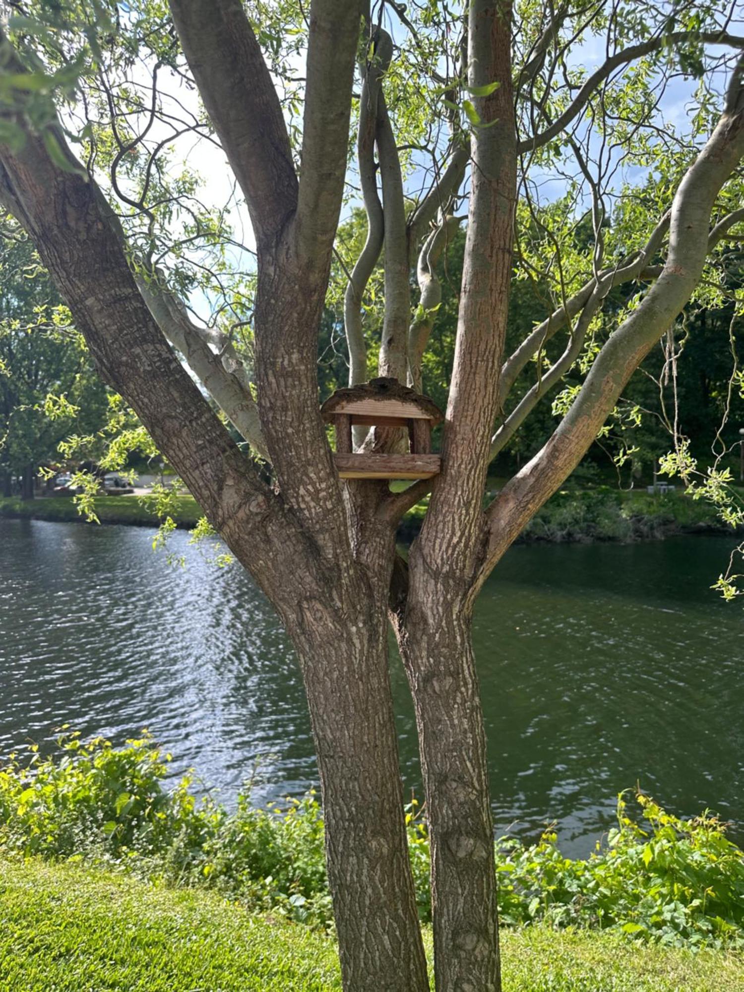 Nature E Spa Al - Termas Saude E Beleza, Totalmente Renovado - Piscinas Municipais Em Frente - Epoca Julho A Setembro São Pedro do Sul Esterno foto